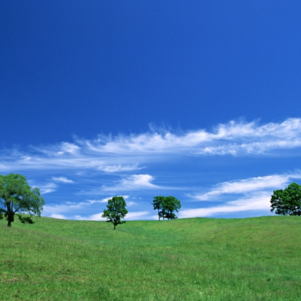 Meet your Posher, Kenna